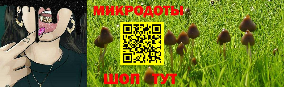Галлюциногенные грибы GOLDEN TEACHER Десногорск